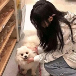 捕鸟达人旧版下载